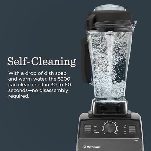 Vitamix High-Performance Series Blender for Smoothies