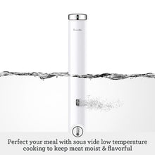 Breville Joule Turbo Sous Vide Precision Cooker