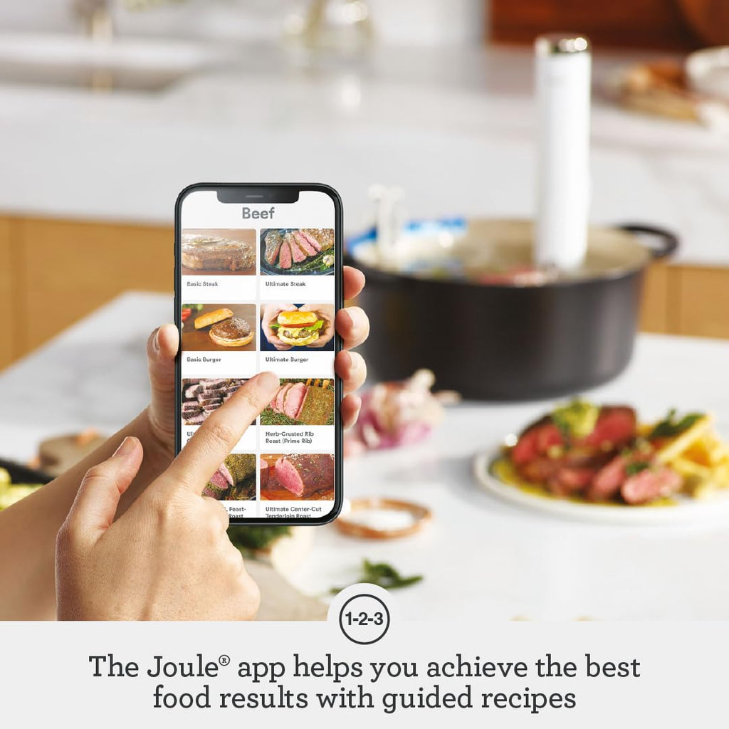 Breville Joule Turbo Sous Vide Precision Cooker