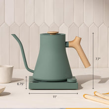 Fellow Stagg EKG Electric Gooseneck Kettle with Temperature Control