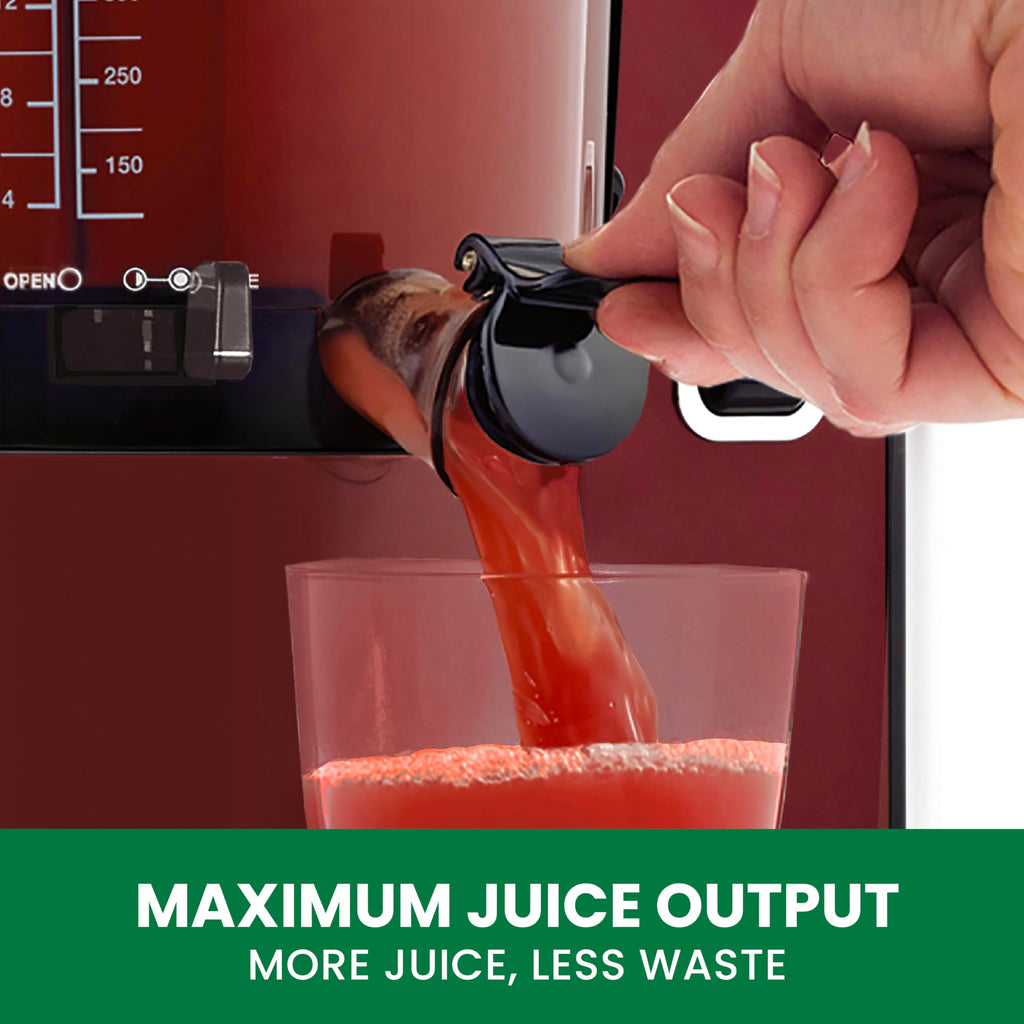 Omega Vertical Slow Masticating Juicer with Quiet Motor